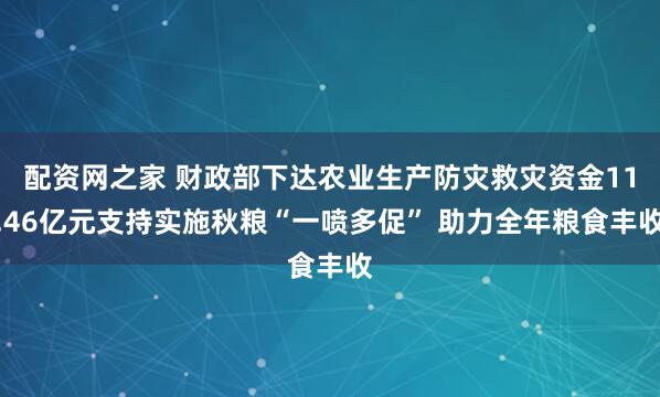 配资网之家 财政部下达农业生产防灾救灾资金11.46亿元支持实施秋粮“一喷多促” 助力全年粮食丰收